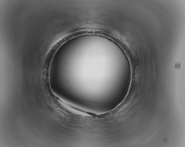 X0000097511352200802221458