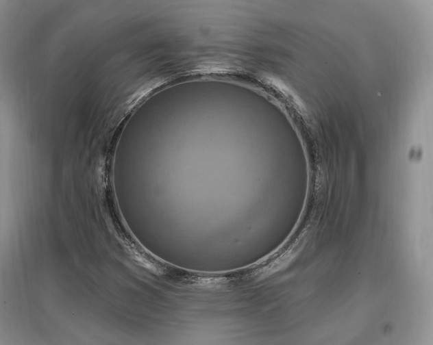 X0000097511353200802221458