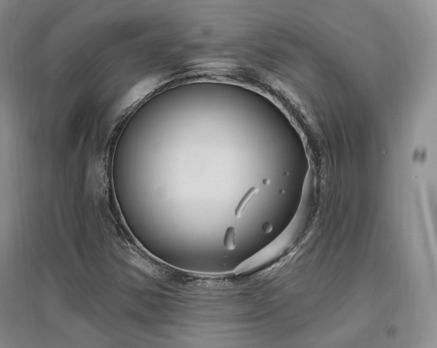 X0000097511354200802221458