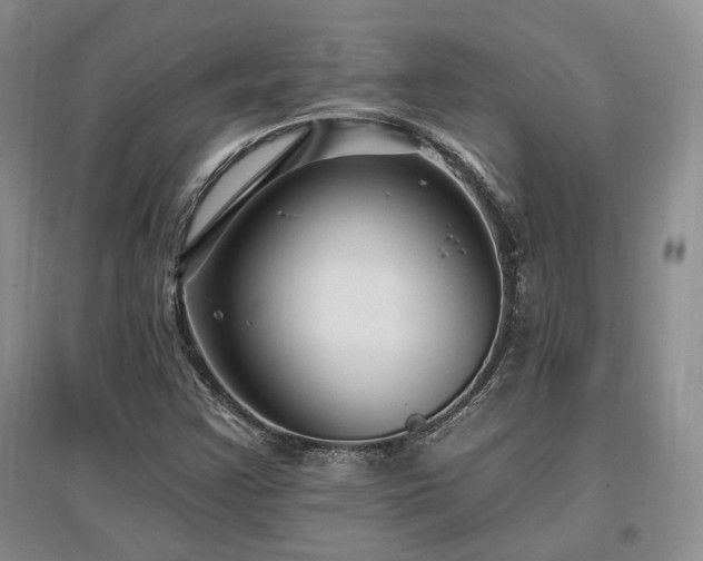 X0000097511355200802221458