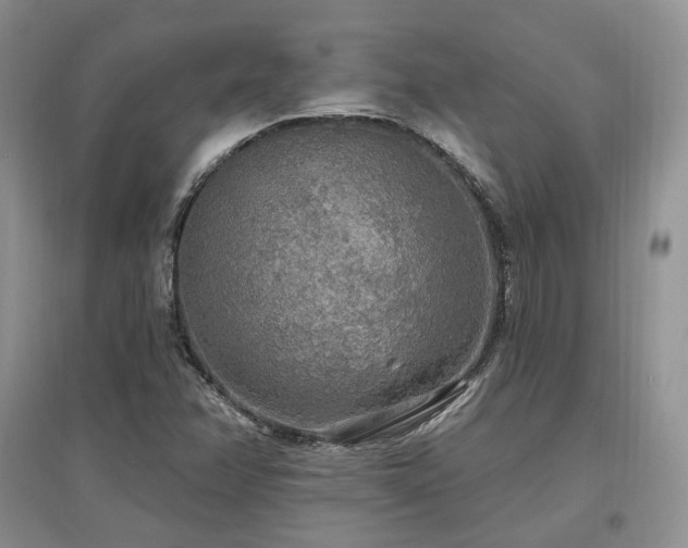 X0000097511358200802221458