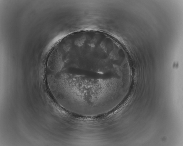 X0000097511359200802221458