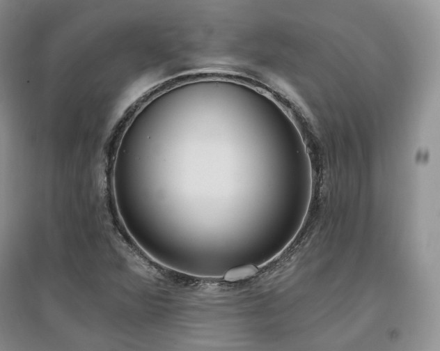 X0000097511360200802221457