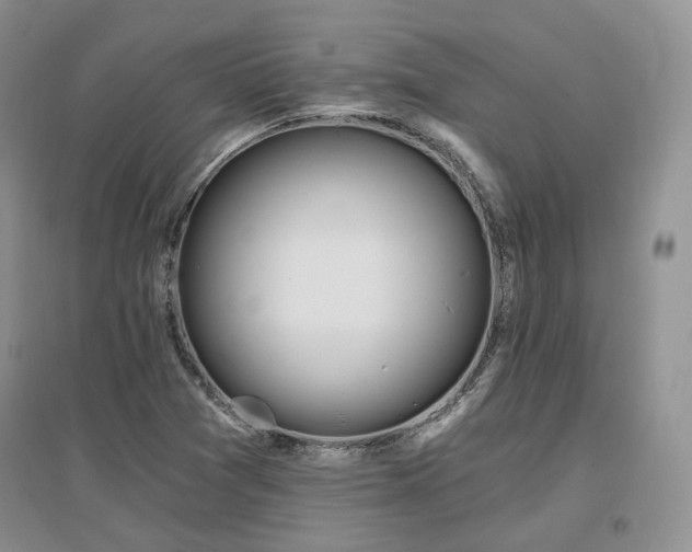 X0000097511361200802221457