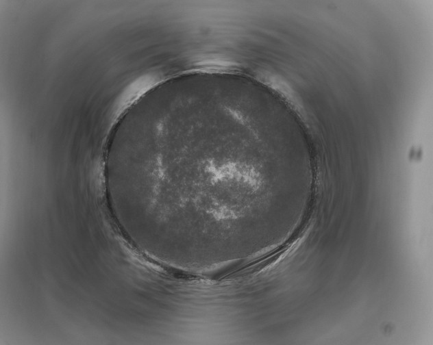 X0000097511362200802221457