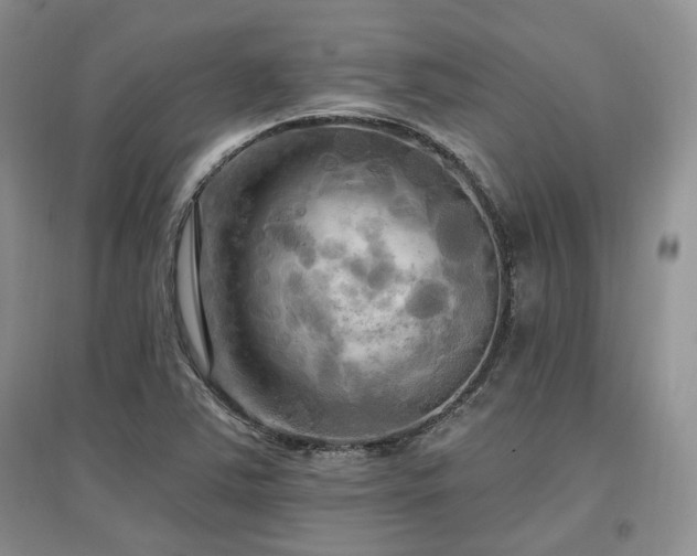 X0000097511363200802221457