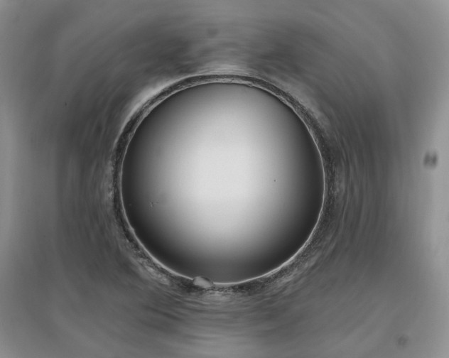 X0000097511364200802221457