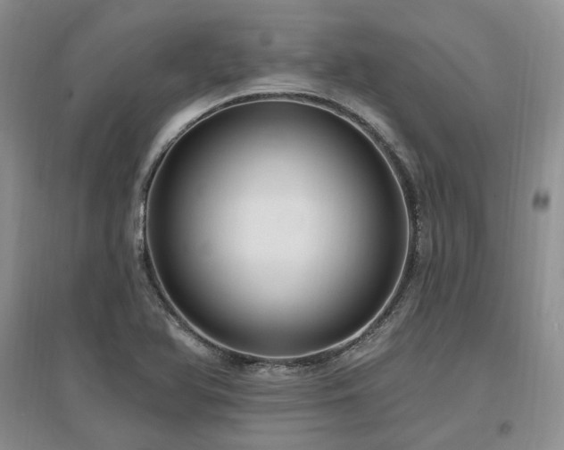 X0000097511366200802221457