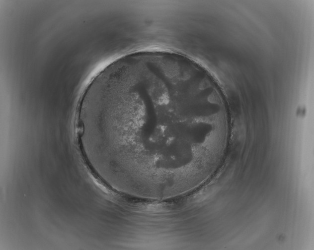 X0000097511367200802221457