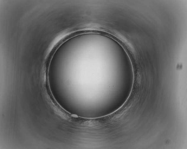 X0000097511368200802221457