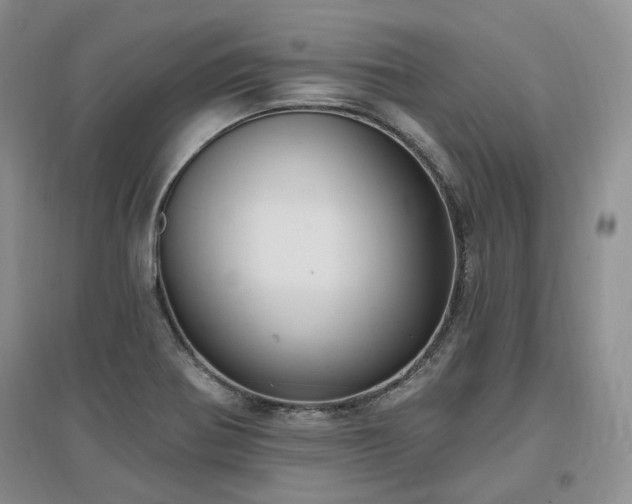 X0000097511370200802221457