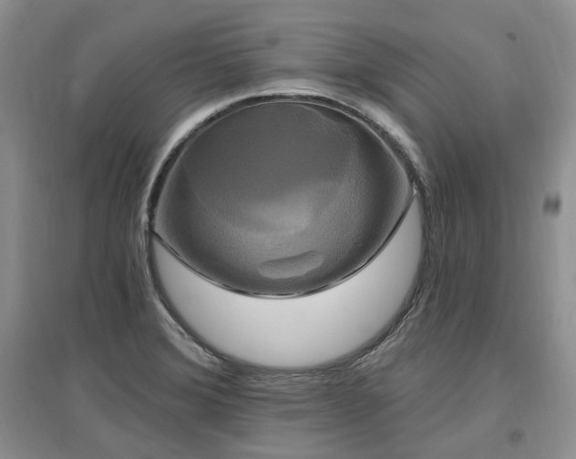 X0000097511372200802221457
