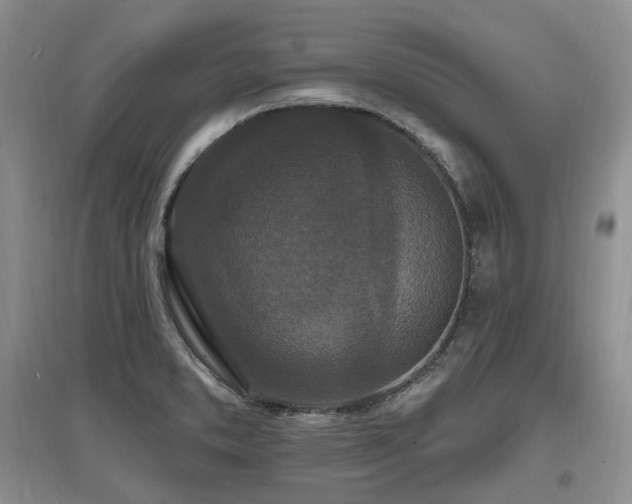 X0000097511373200802221457