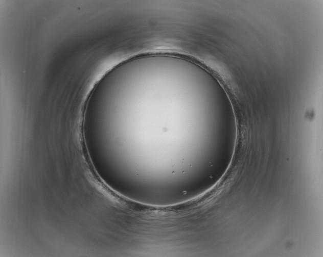 X0000097511374200802221457