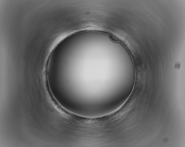 X0000097511375200802221457