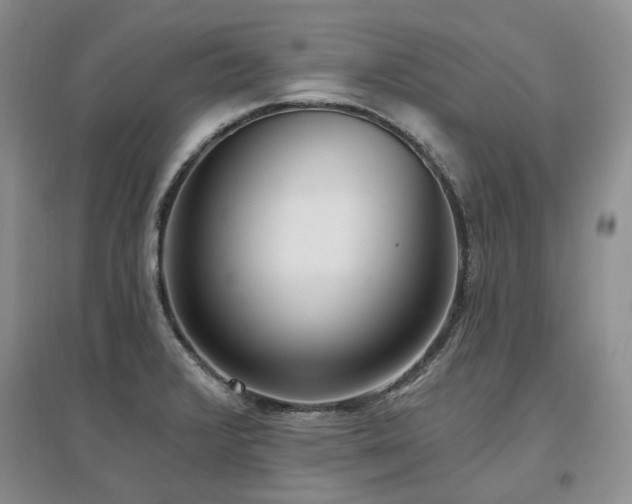 X0000097511376200802221457