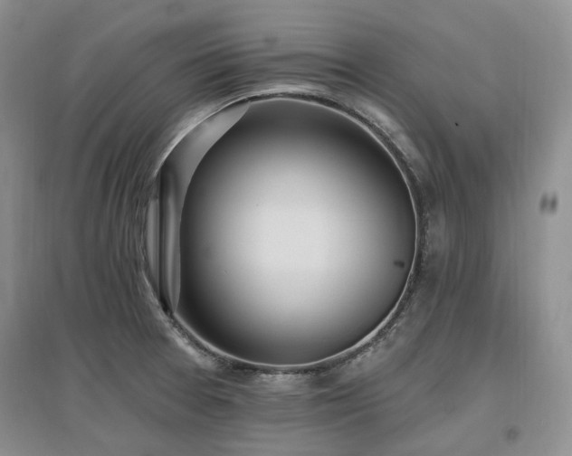 X0000097511377200802221457