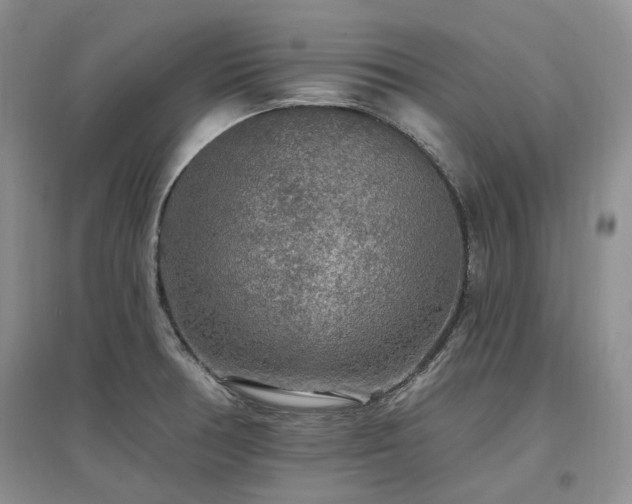 X0000097511378200802221457