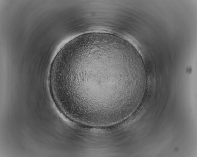 X0000097511379200802221457