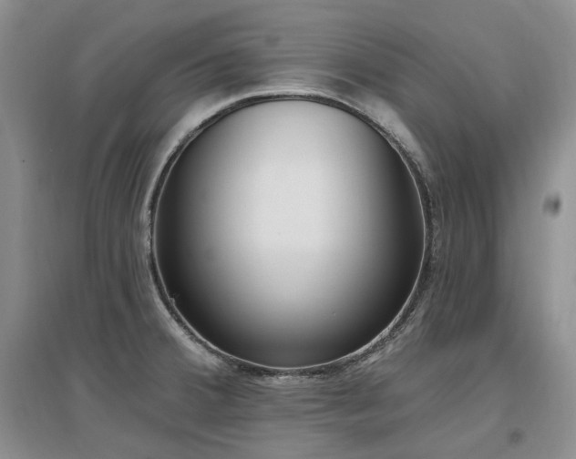 X0000097511380200802221457