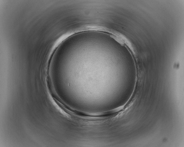 X0000097511381200802221457