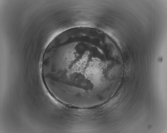 X0000097511383200802221457