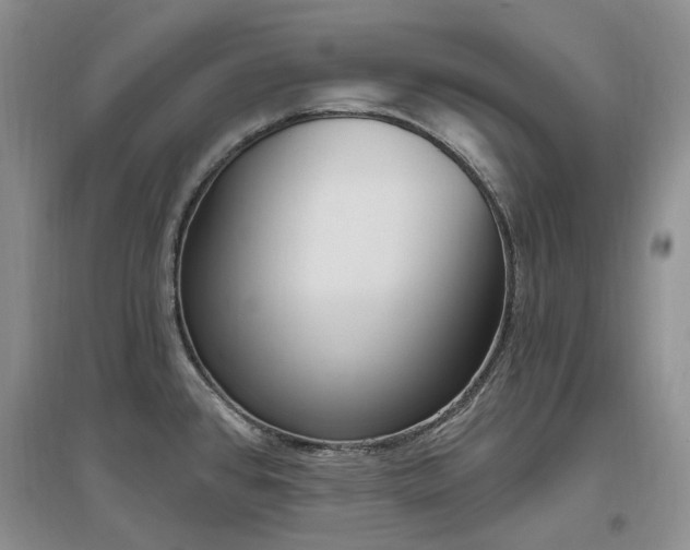 X0000097511384200802221457