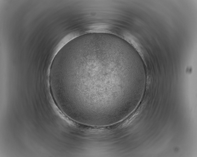X0000097511386200802221457