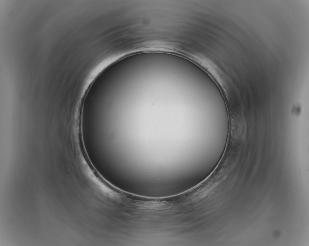 X0000097511387200802221457