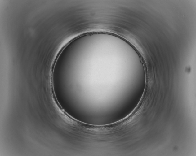 X0000097511388200802221457