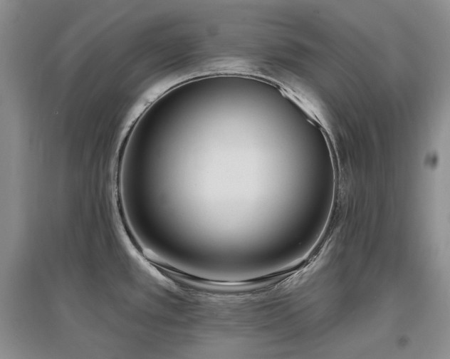 X0000097511389200802221457
