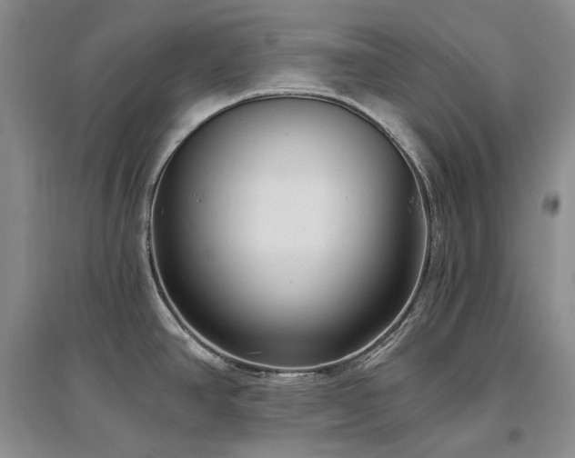 X0000097511390200802221457