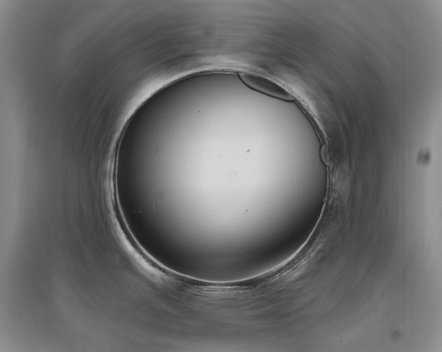 X0000097511391200802221457