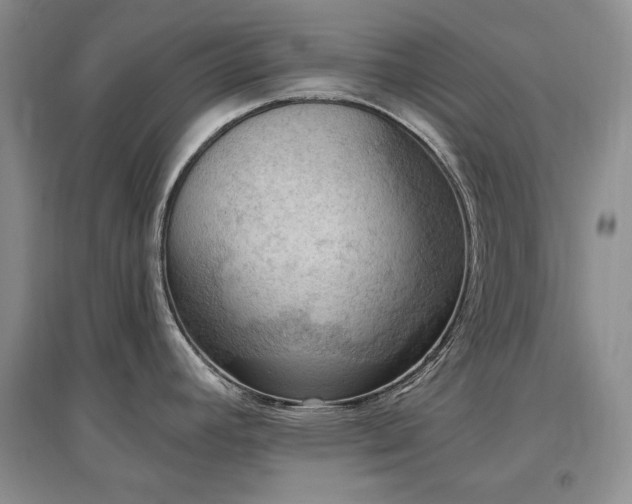 X0000097511392200802221457