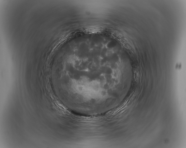 X0000097511393200802221456