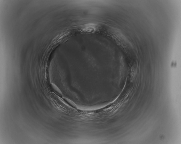 X0000097511394200802221456