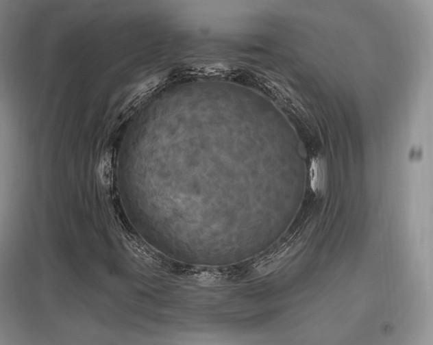 X0000097511395200802221456