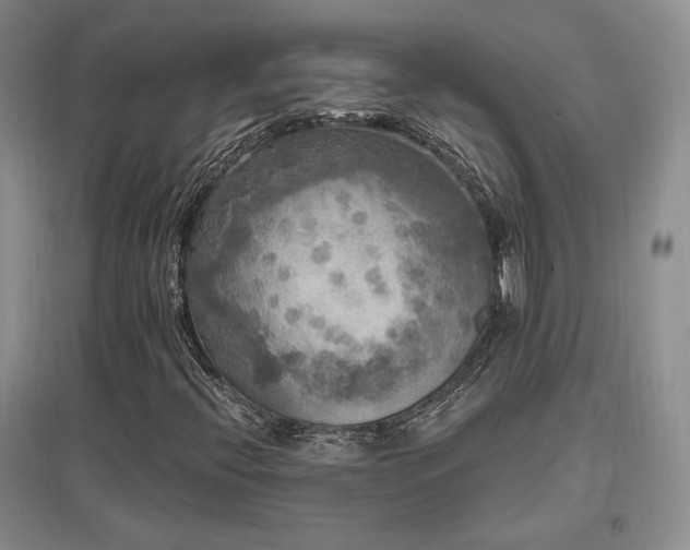 X0000097511396200802221456