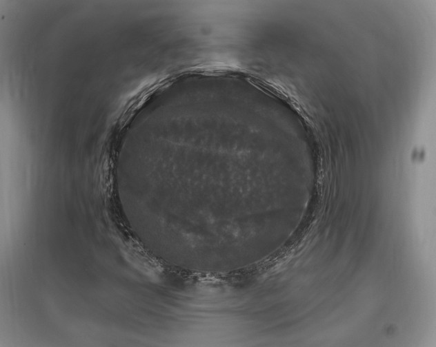 X0000097511398200802221456