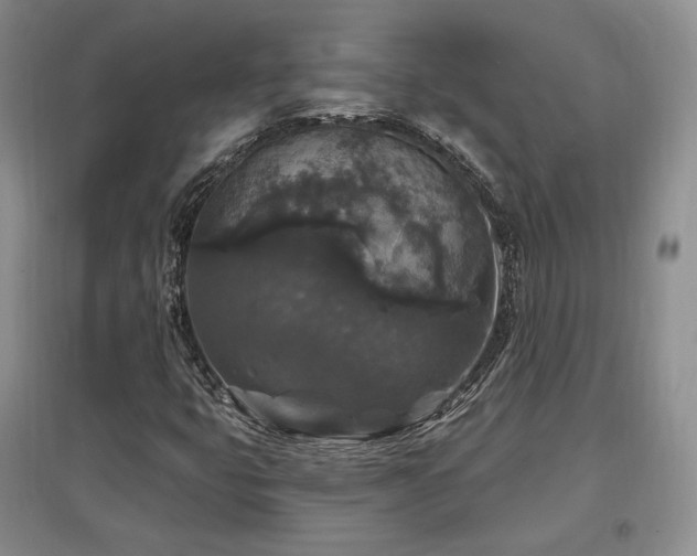 X0000097511399200802221456