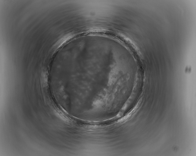 X0000097511401200802221456