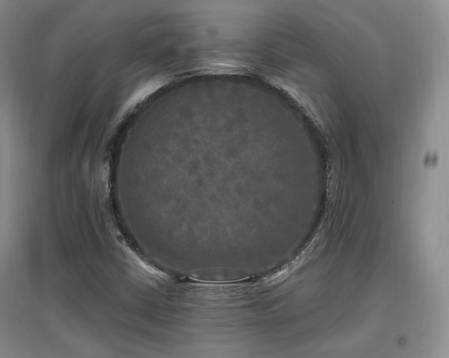X0000097511402200802221456