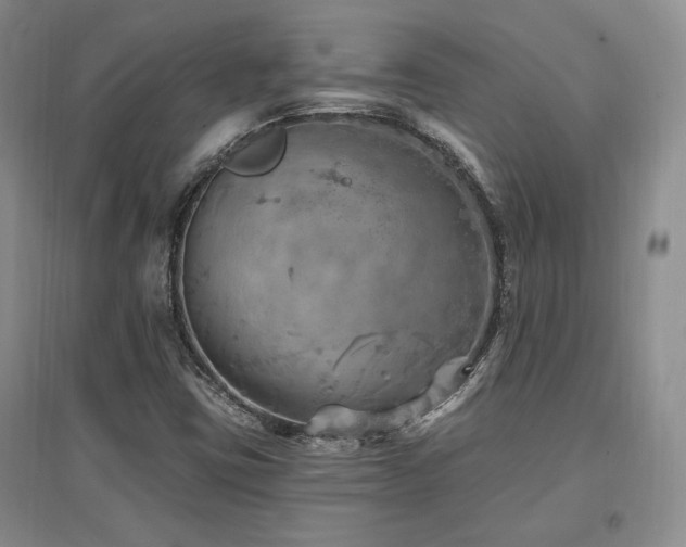 X0000097511403200802221456
