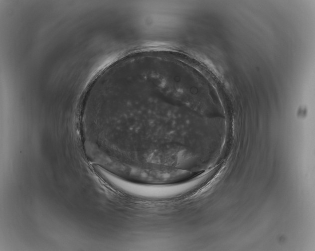 X0000097511405200802221456