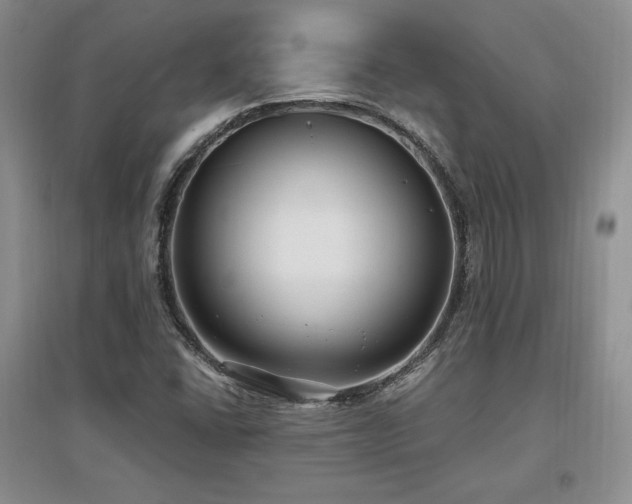 X0000097511406200802221456