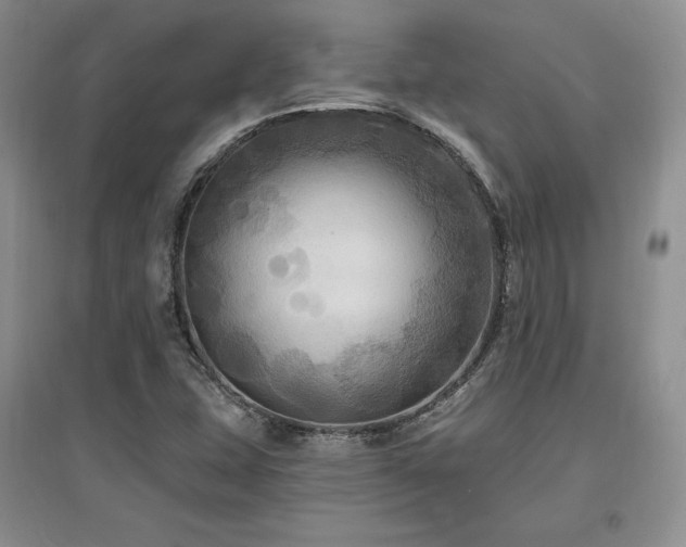 X0000097511407200802221456