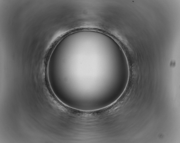 X0000097511408200802221456