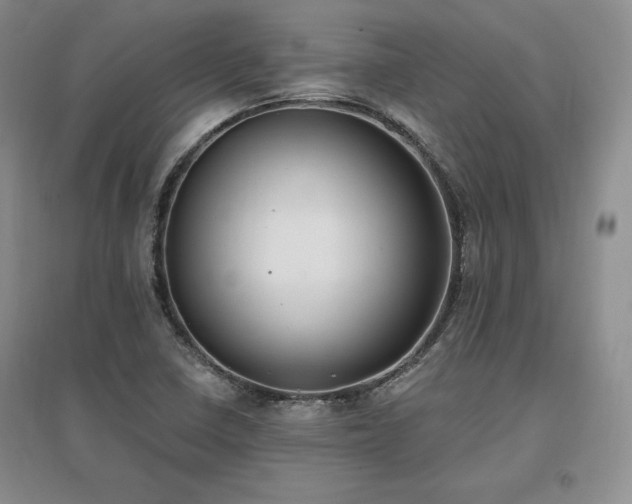 X0000097511410200802221456