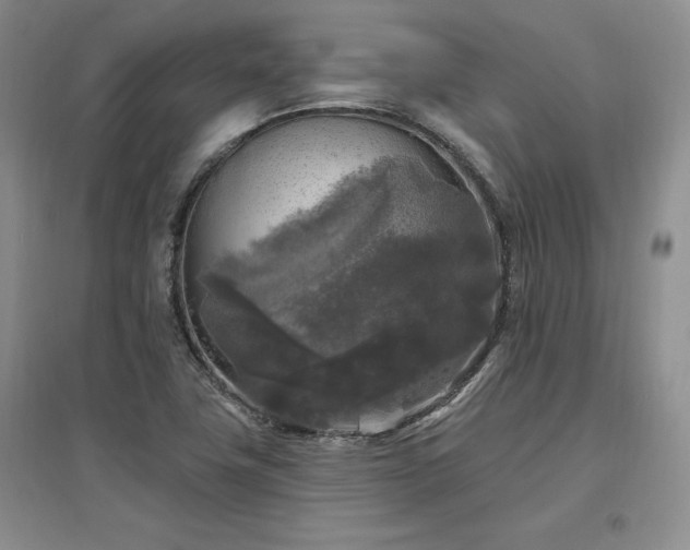 X0000097511411200802221456