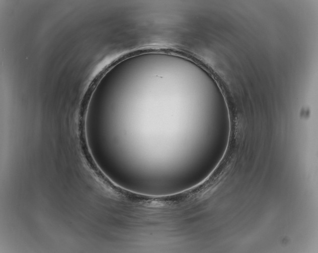 X0000097511412200802221456